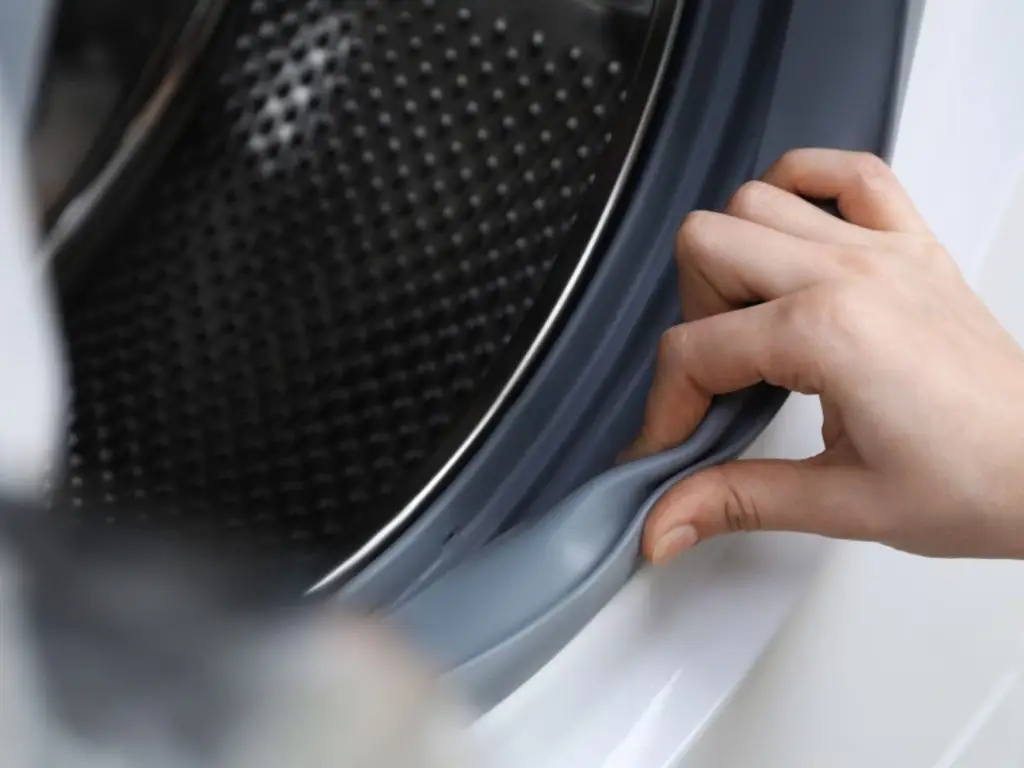 An image of Door Seal on a washing machine